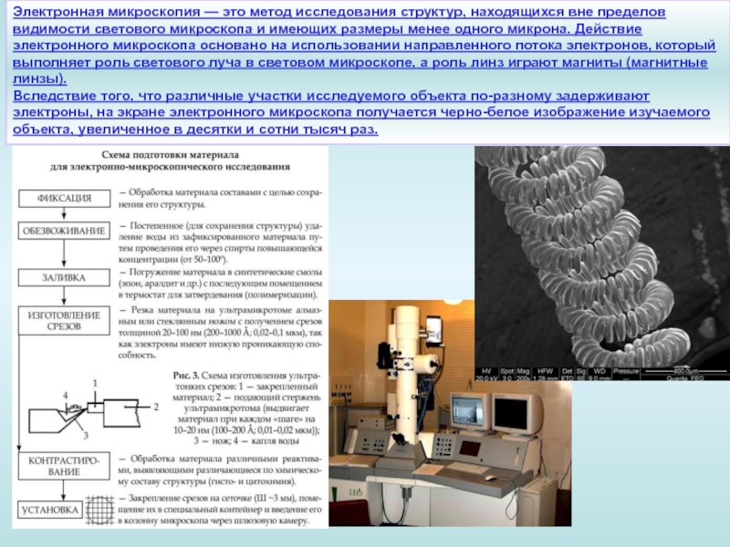 После какого процесса получения фотографий осуществляют закрепление фотопленки