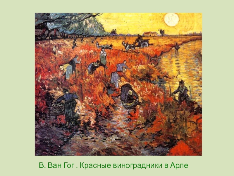 Красные виноградники в арле