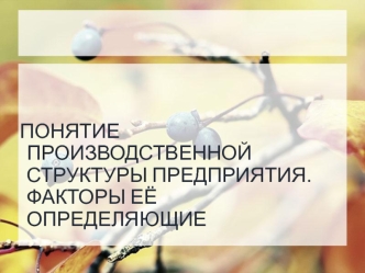 Понятие производственной структуры предприятия. Факторы, её определяющие