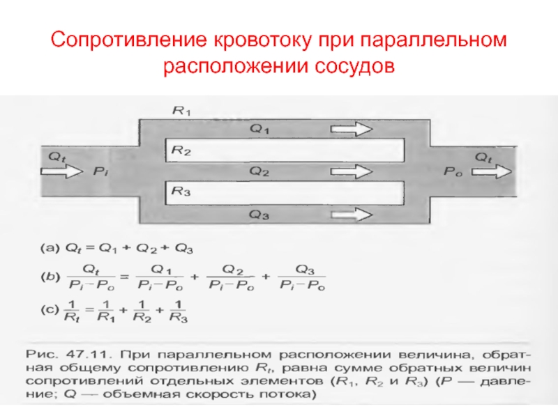 Сопротивление системы. Сопротивление кровотоку. Сопротивление кровотоку в сосуде. Сопротивление потоку крови это. Сопротивление току крови в капиллярах.