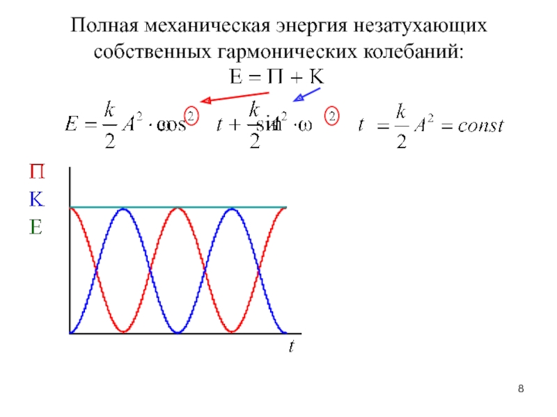 Какой цифрой на рисунке обозначен орган переводящий механические колебания в электрические импульсы