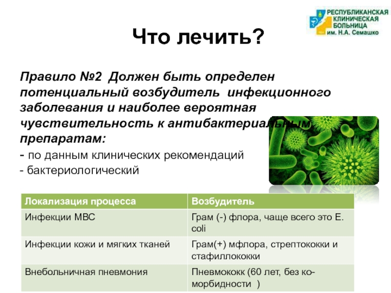 Морбидность. Правило лечение. Локализация процесса. Инфекция МВС. Инфекции МВС чем лечить.