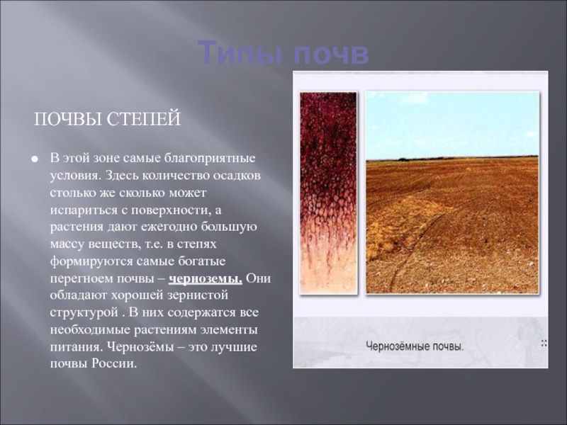 Какие почвы в степях россии