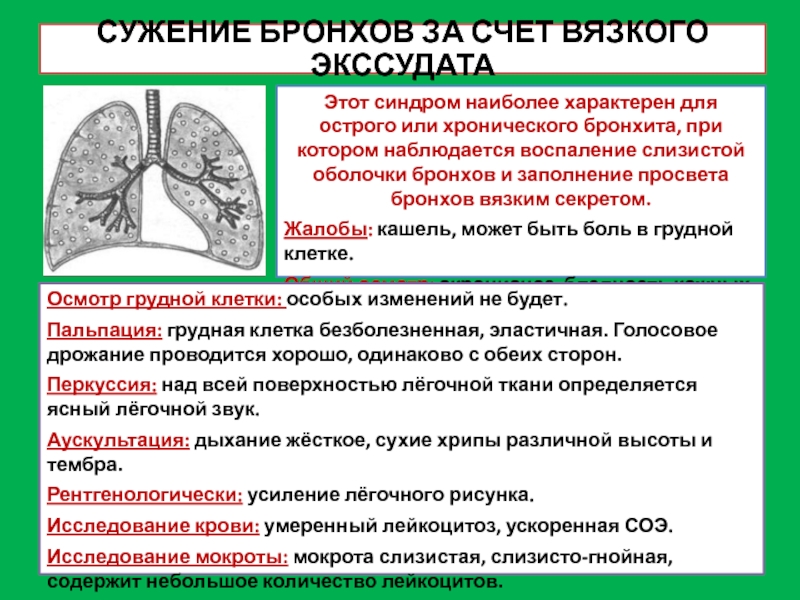 Болят бронхи. Сужение просвета бронхов. Сужение просвета бронза. Зудение просвеиа бронхоа.