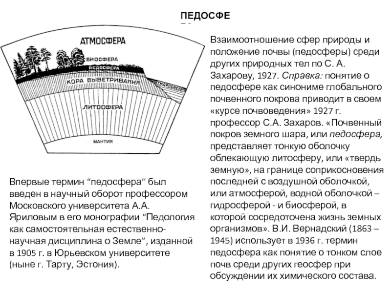 Реферат: Почвенный покров Москвы