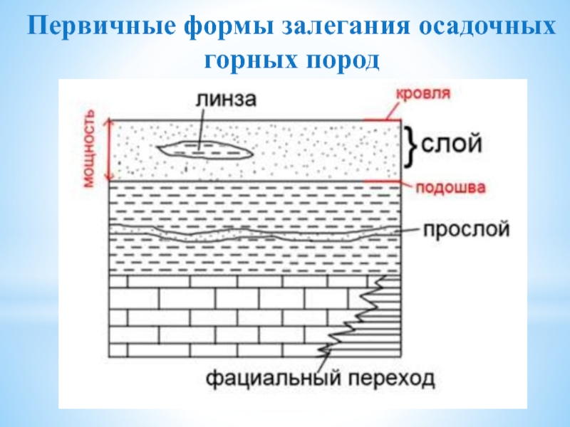 Рисунок залегание горных пород