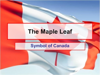 The Maple Leaf symbol of Canada