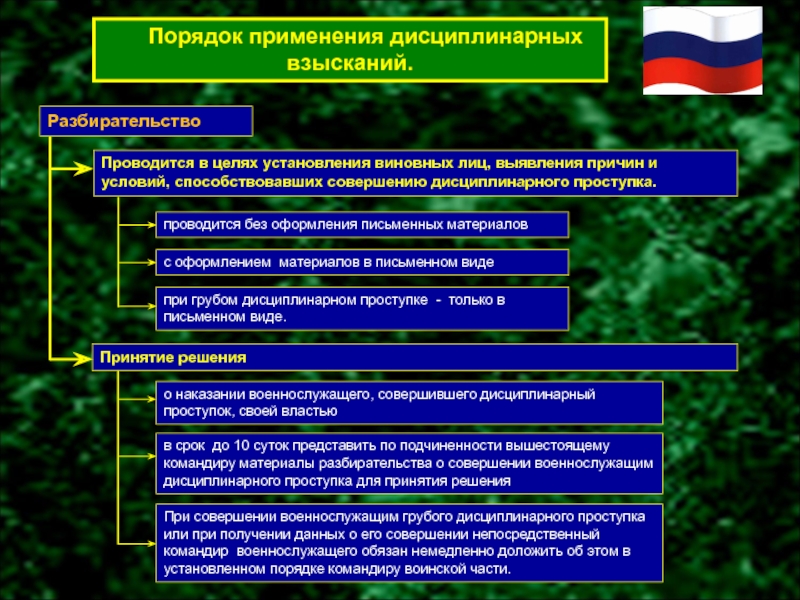 Служебное разбирательство в вс рф образец