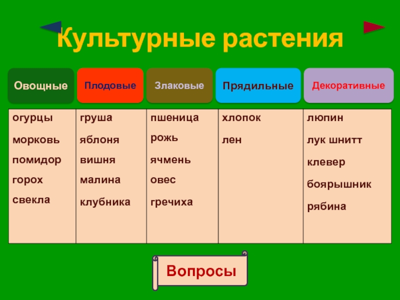 Зерновые овощные плодовые