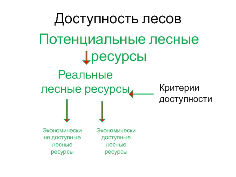 Лесной кластер презентация