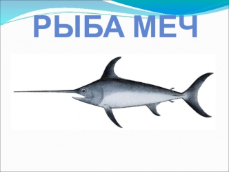 Рыба-меч