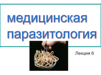 Тип членистоногие. Медицинская арахноэнтомология. (Лекция 6)