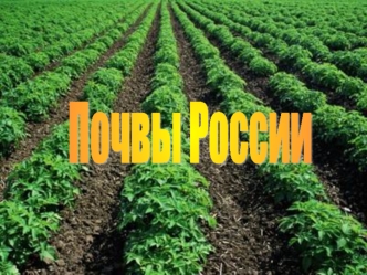 Почвы России (8 класс)