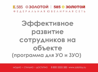 Эффективное развитие сотрудников на объекте. Программа для УО и ЗУО