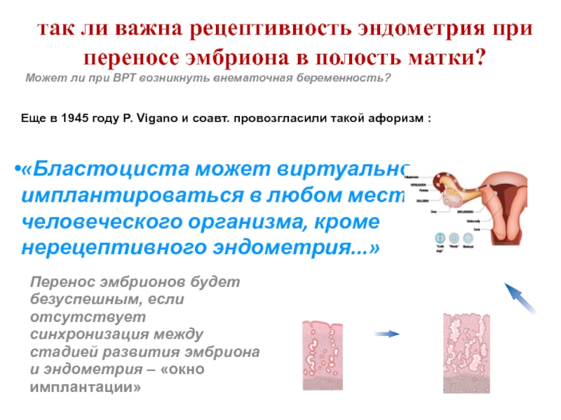 Эндометрий при переносе эмбриона. Перенос эмбрионов в полость матки. Рецептивность эндометрия. Рецептивность эндометрия окно имплантации. Подготовка эндометрия к имплантации зародыша.