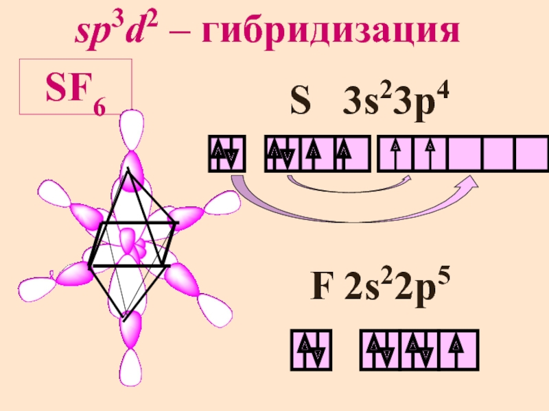 Сера гибридизация