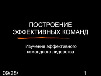 Построение эффективных команд. Изучение эффективного командного лидерства. (Сессия 1)