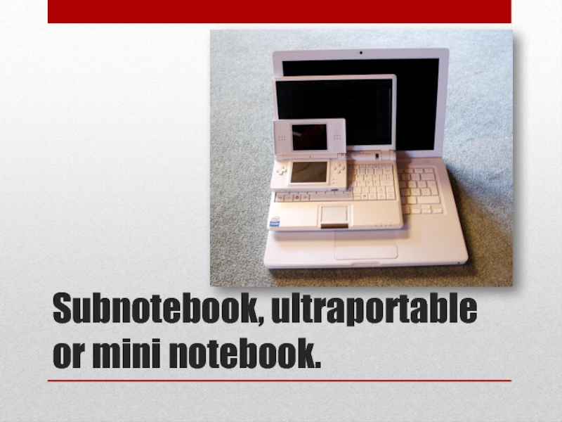 Subnotebook, ultraportable or mini notebook.