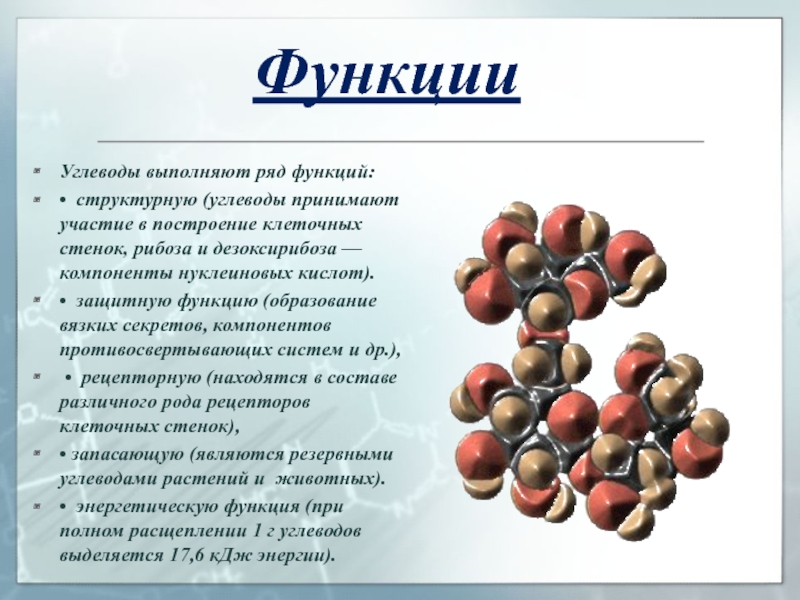 Углеводы и их роль и значение в жизни человека проект по химии