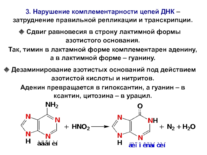 Днк нуклеотиды хромосомы аденин. Комплементарная пара урацил аденин. Комплементарная пара аденин Тимин. Таутомерные превращения для Тимина и гуанина. Аденин гуанин биохимия комплементарность.