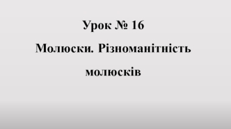 Молюски. Різноманітність молюсків