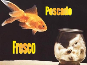 Pescado Fresco