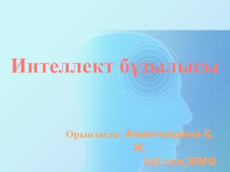 Интеллект бұзылысы