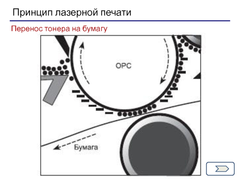 Барабан переноса изображений