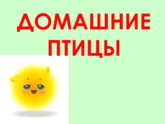 ДОМАШНИЕ ПТИЦЫ