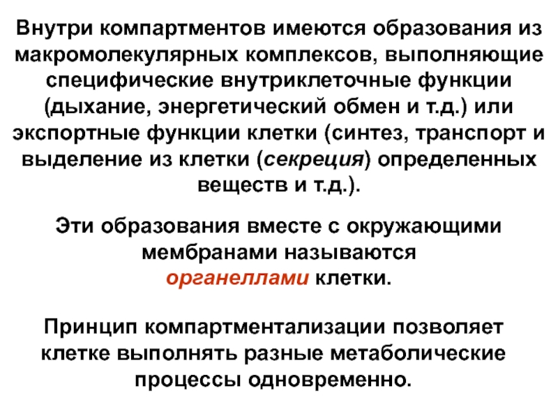 Цербер компартмент. Компартментация клетки это. Принцип компартментализации. Принцип компартментации клетки. Функции клеточного компартмента.