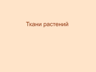 Ткани растений