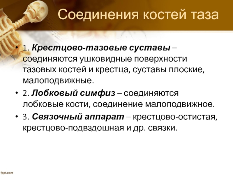 Соединение костей таза. Как возникают и для чего служат ушковидные поверхности.