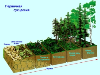 Типы экологических взаимодействий