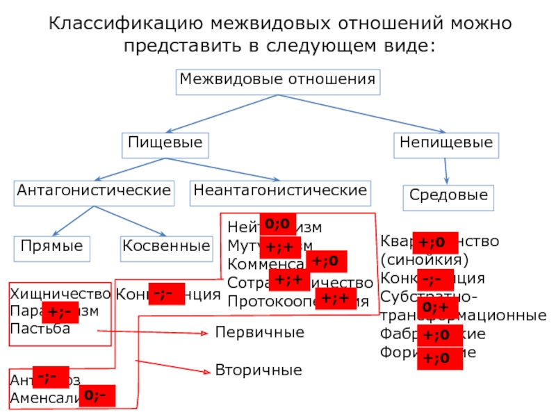 Возможные варианты межвидовых отношений схема