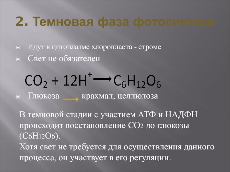 Темновые реакции. Уравнение реакции Темновой фазы фотосинтеза. Темновая фаза химическая реакция. Уравнение реакции Темновой фазы. Уравнение фотоитеза Темовая фаза.