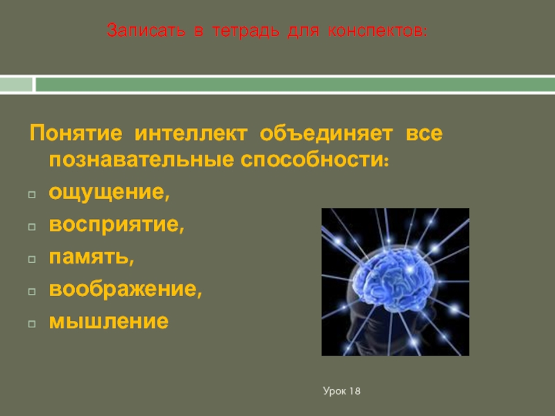 Источник знаний является разум какая концепция