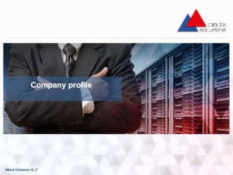 Delta Solutions. Company profile