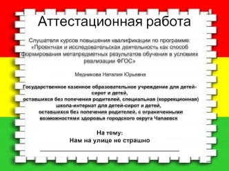 Аттестационная работа. Нам на улице не страшно. Правила дорожного движения