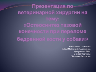 Остеосинтез тазовой конечности при переломе бедренной кости у собаки