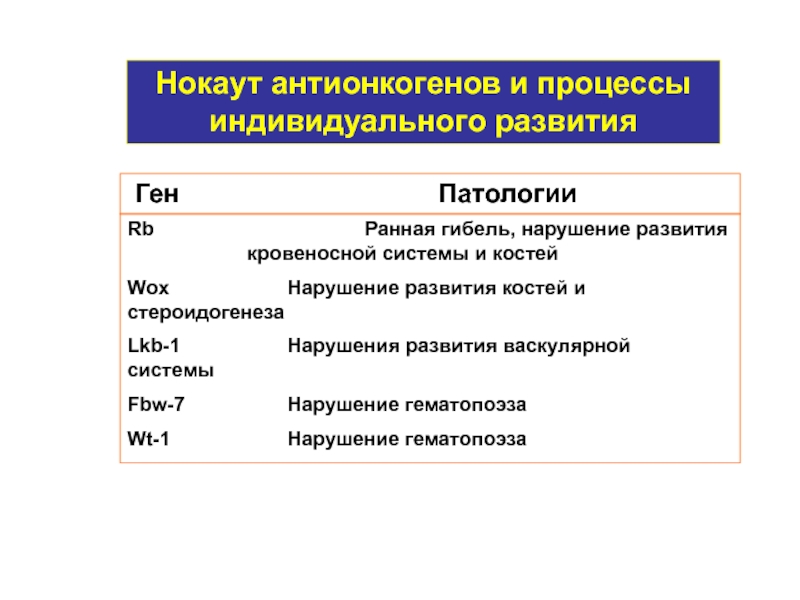 Ранная. Блокаторы стероидогенеза препараты. Виды антионкогенов. Примеры антионкогенов. Роль антионкогенов 1 2 3 группы.