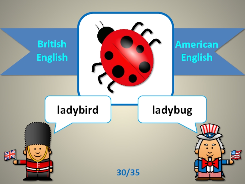 English презентация. Ladybird на английском. О Ladybug на английском. Задания Ladybug English. Ladybird на английском с субтитрами.