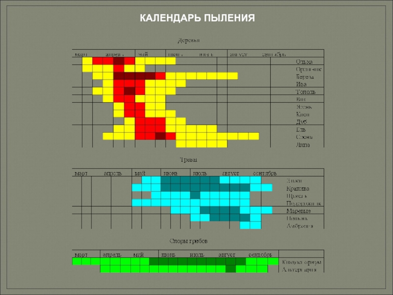 Карта пыления березы в москве на сегодня