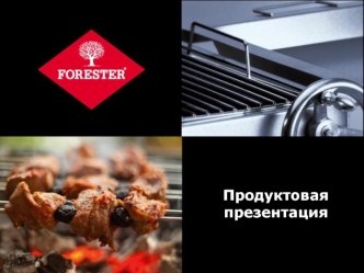 Продуктовая презентация