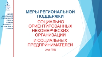 Меры региональной поддержки социально ориентированных некомерческих организаций и социальных предпринимателей 2018 год