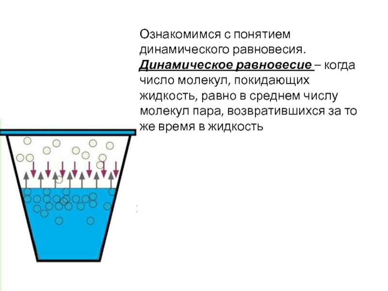 Равновесие между жидкостью и паром. Динамическое равновесие. Насыщенный пар динамическое равновесие. Внутреннее динамическое равновесие. Понятие динамического равновесия.