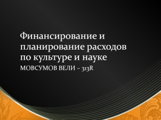 Финансирование и планирование расходов по культуре и науке