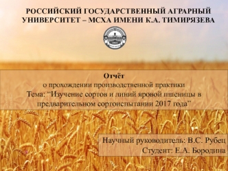 Изучение сортов и линий яровой пшеницы в предварительном сортоиспытании 2017 года