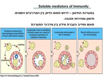 Soluble mediators of Immunity