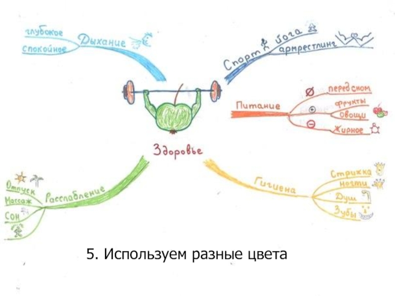 Интеллект карта животные