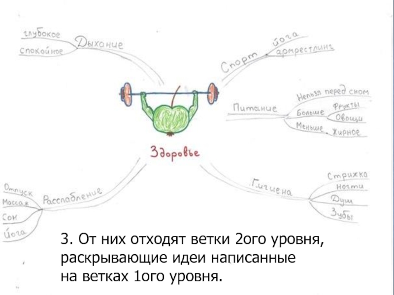 Раскрывать идею. Интеллект карта две ветви. Майнд карта белые ветви. Составить ветвь интеллект карты уровень развития торговли. К майнд - карте добавить 2 объекта 1 уровня.